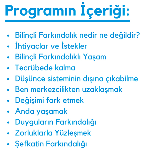 Anı Yakalamak - Bilinçli Farkındalık Program İçeriği